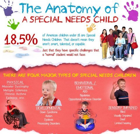 Anatomy of a Special Needs Child Infographic