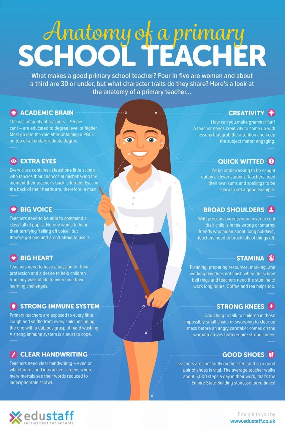 The Anatomy of a Primary School Teacher Infographic