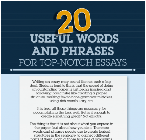 20 Useful Words and Phrases for Top-Notch Essays Infographic