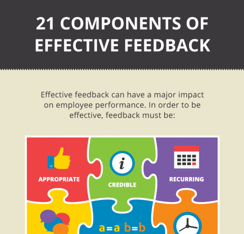 21 Components of Effective Feedback Infographic