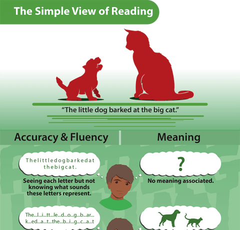 The Simple View of Reading Infographic